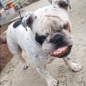 Meet your Posher, Naty